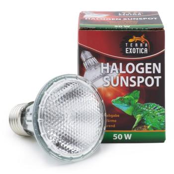 Terra Exotica Halogen Sunspot - Halogen Spotstrahler - 50 Watt